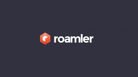 Roamler – Le Chiffre d’affaire potentiel